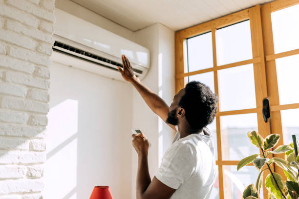 Best Local HVAC Companies  in Clio, MI